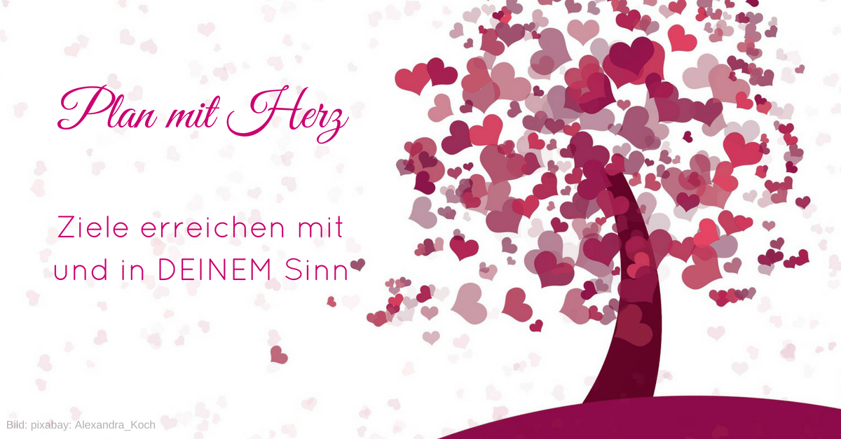 Plan mit Herz Cover
